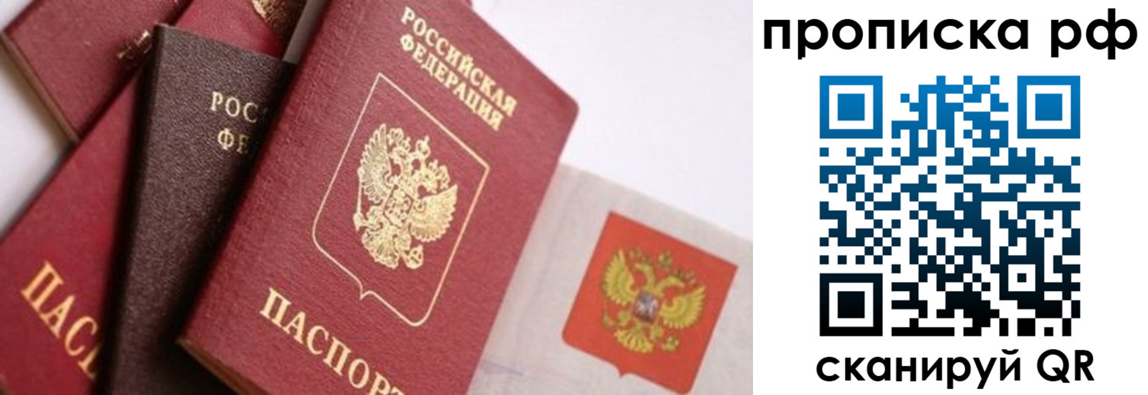 найти адрес прописки в Ершове